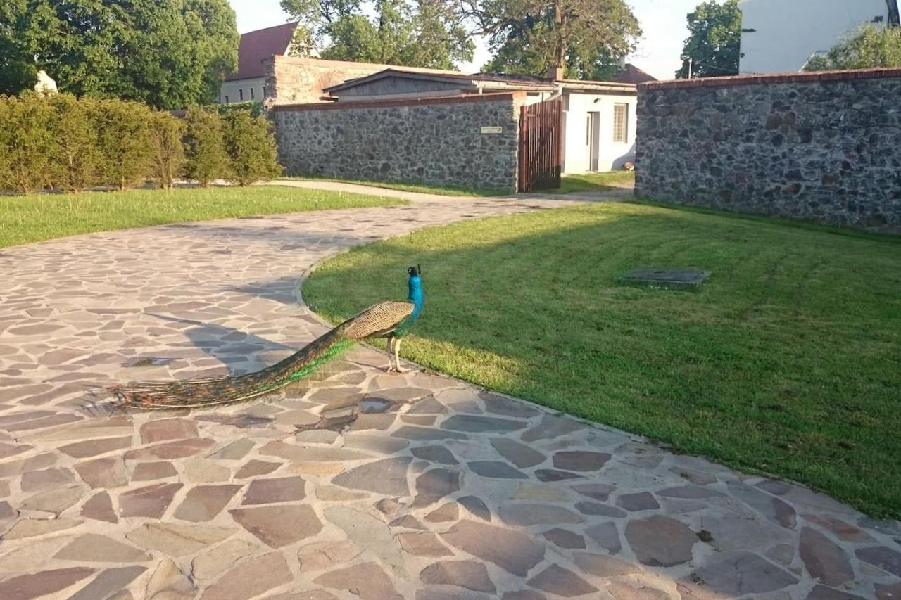 Slovak Cottage Near Bratislava In The Heart Of The Carpathians Modra Exterior foto